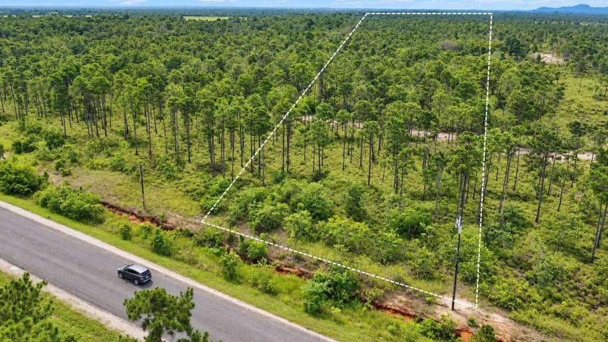 20-Acre Highway-Front Property for Sale | Southern Belize - Photo 4
