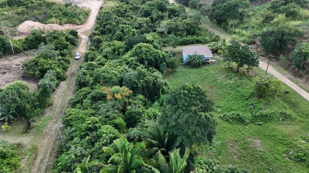 465.242 sq. m. Residential Lot in Belmopan – Mountain View - Photo 5