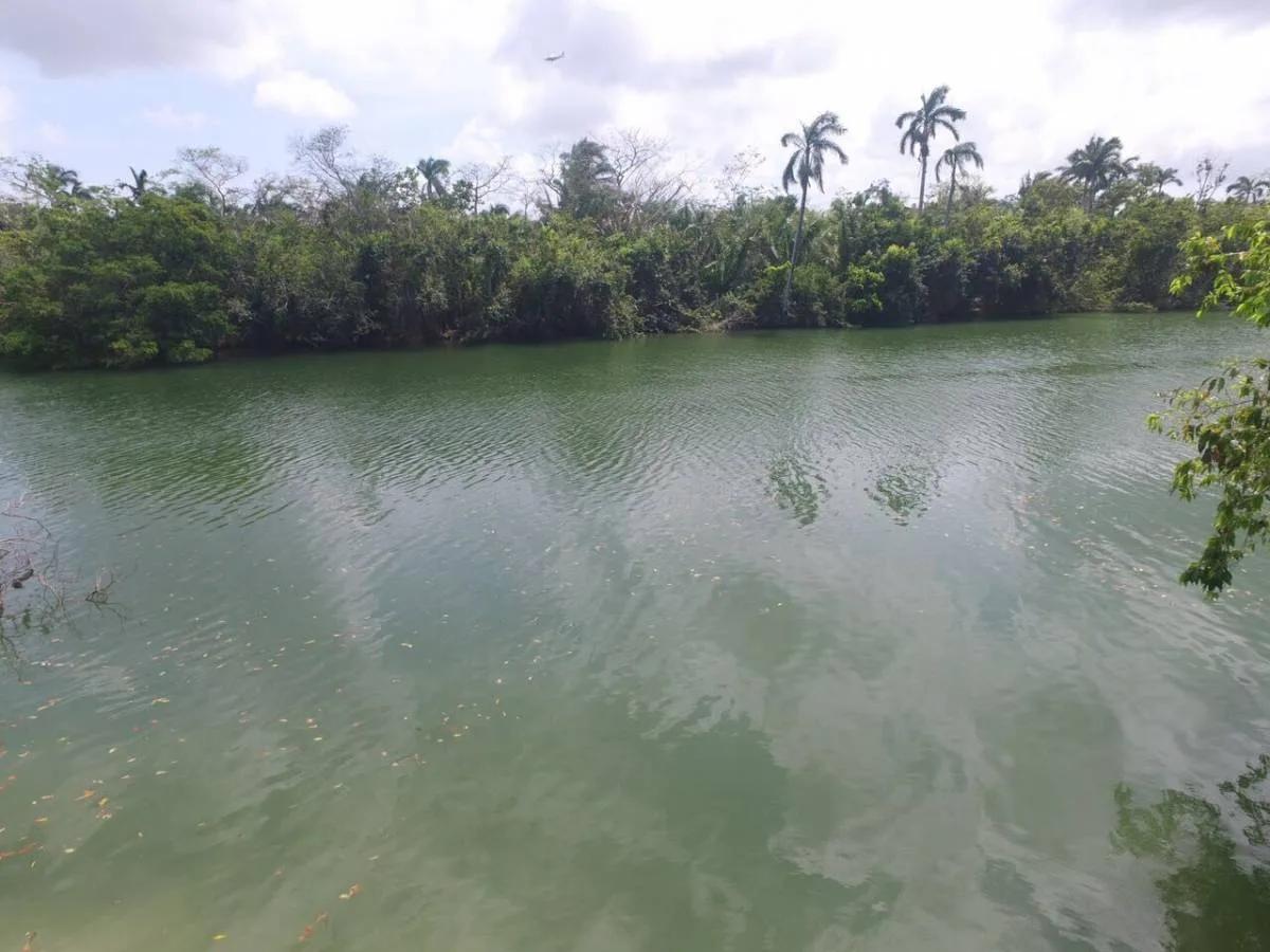 Pristine River Front Plots - Photo 2