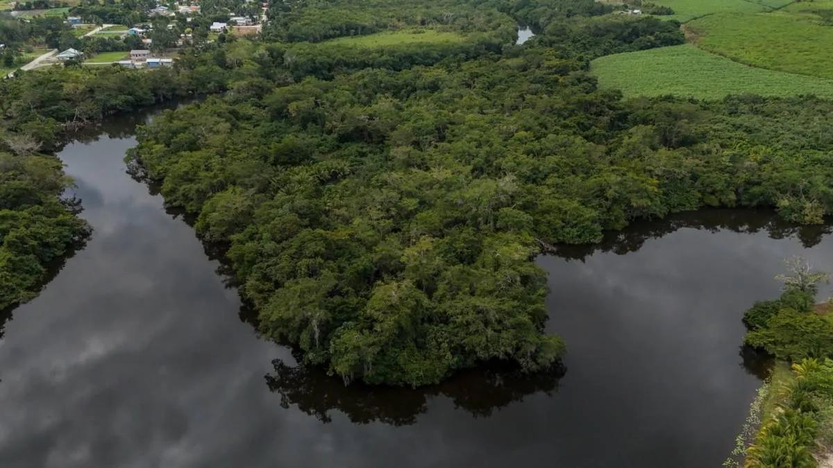 18.54 Acres of Riverfront Land in San Estevan, Belize