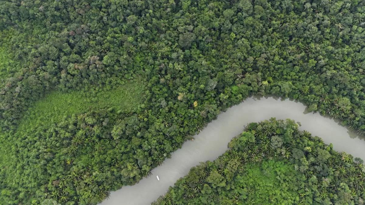 An Exceptional Investment Opportunity in Southern Belize! - Photo 3