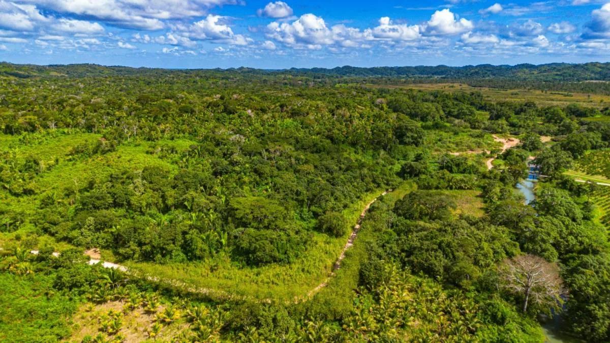 Tea Kettle Village | 230-Acre Riverfront Investment Estate in Belize - Photo 7