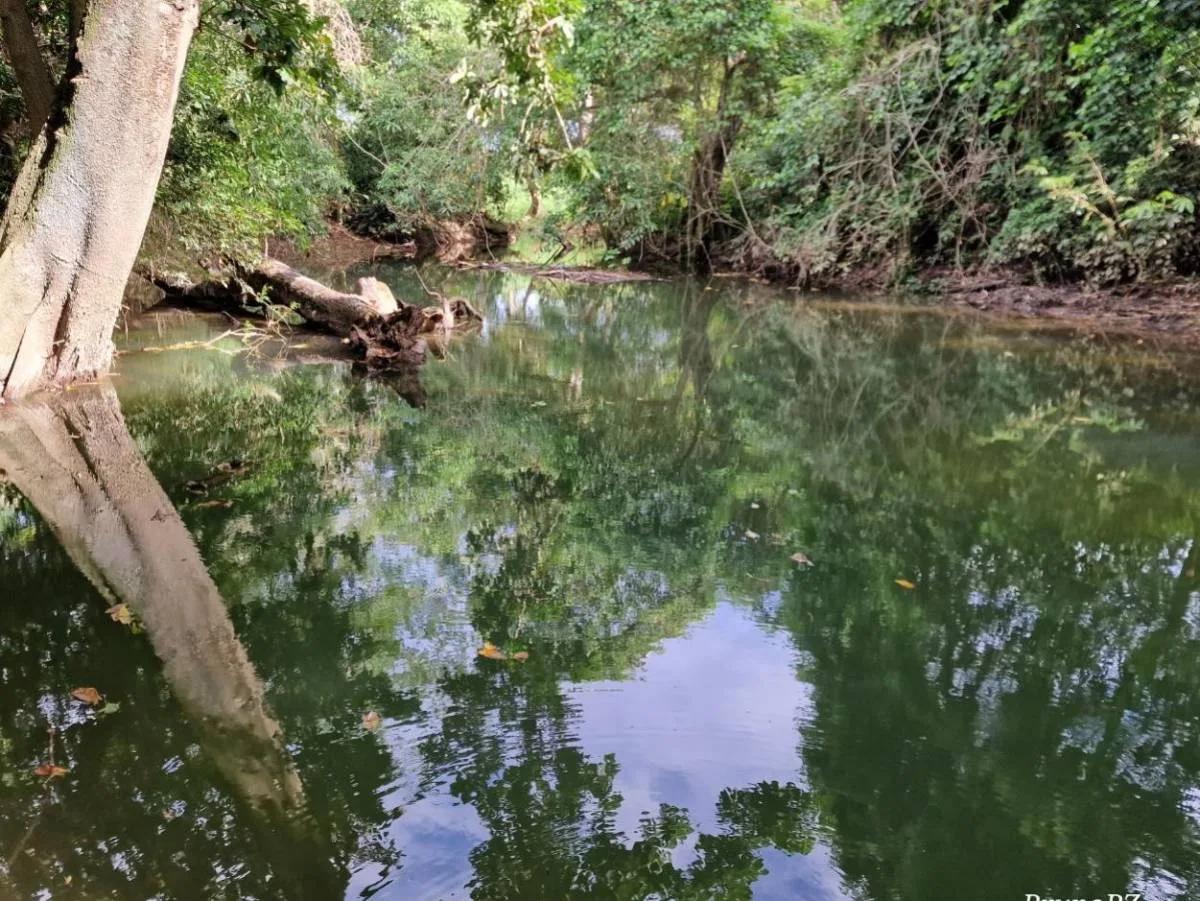Exceptional 14.1 acres along the Mafredi Creek For Sale!