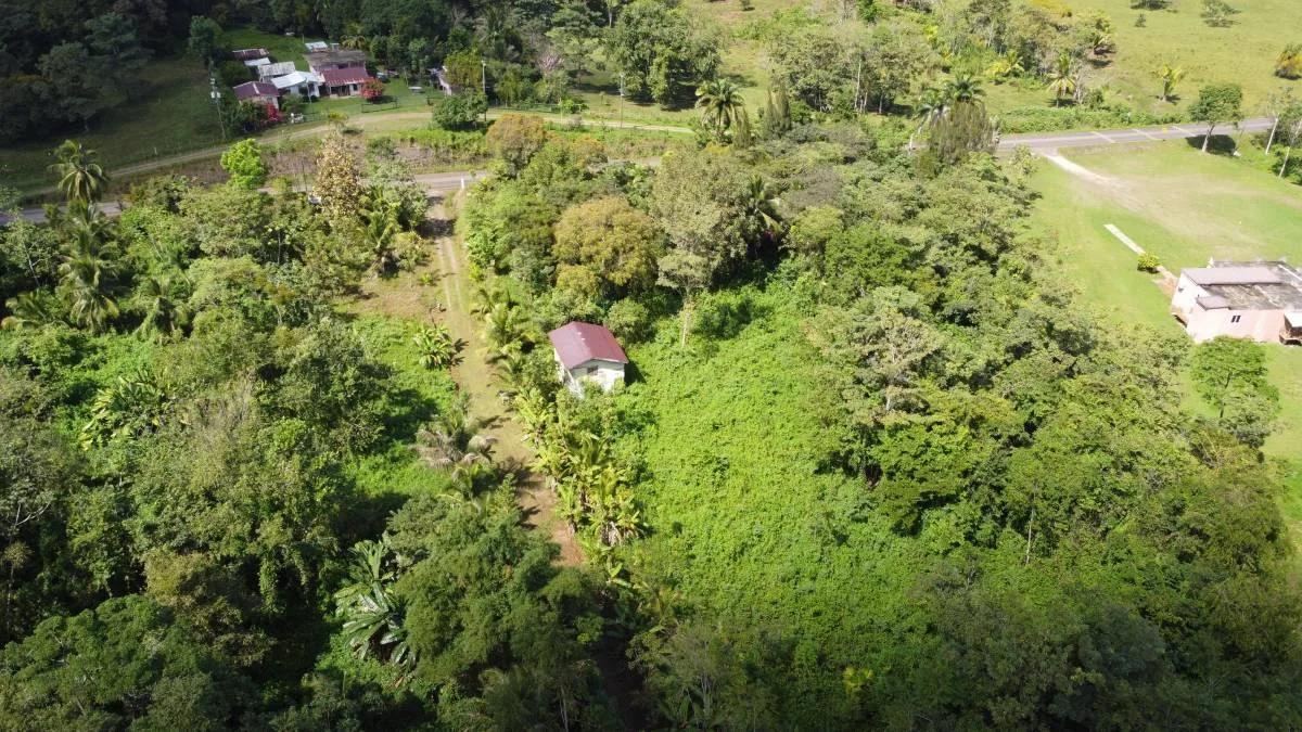 28 acres next to the Maya House of Cacao in Toledo
