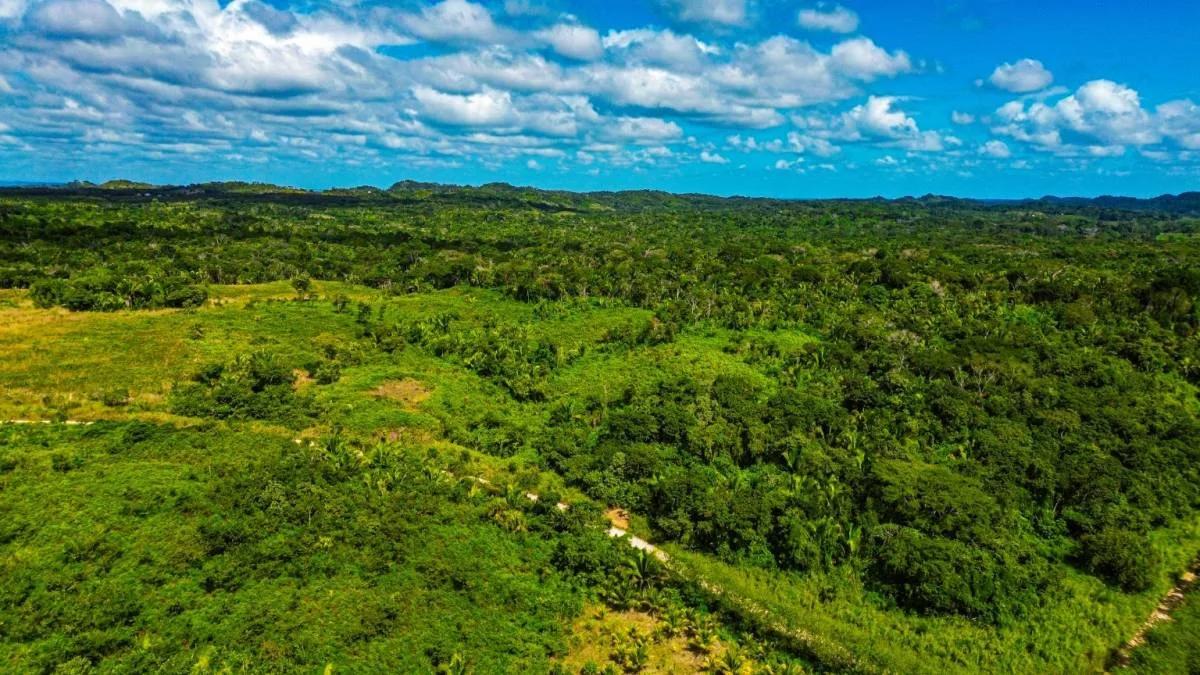 Tea Kettle Village | 230-Acre Riverfront Investment Estate in Belize - Photo 5