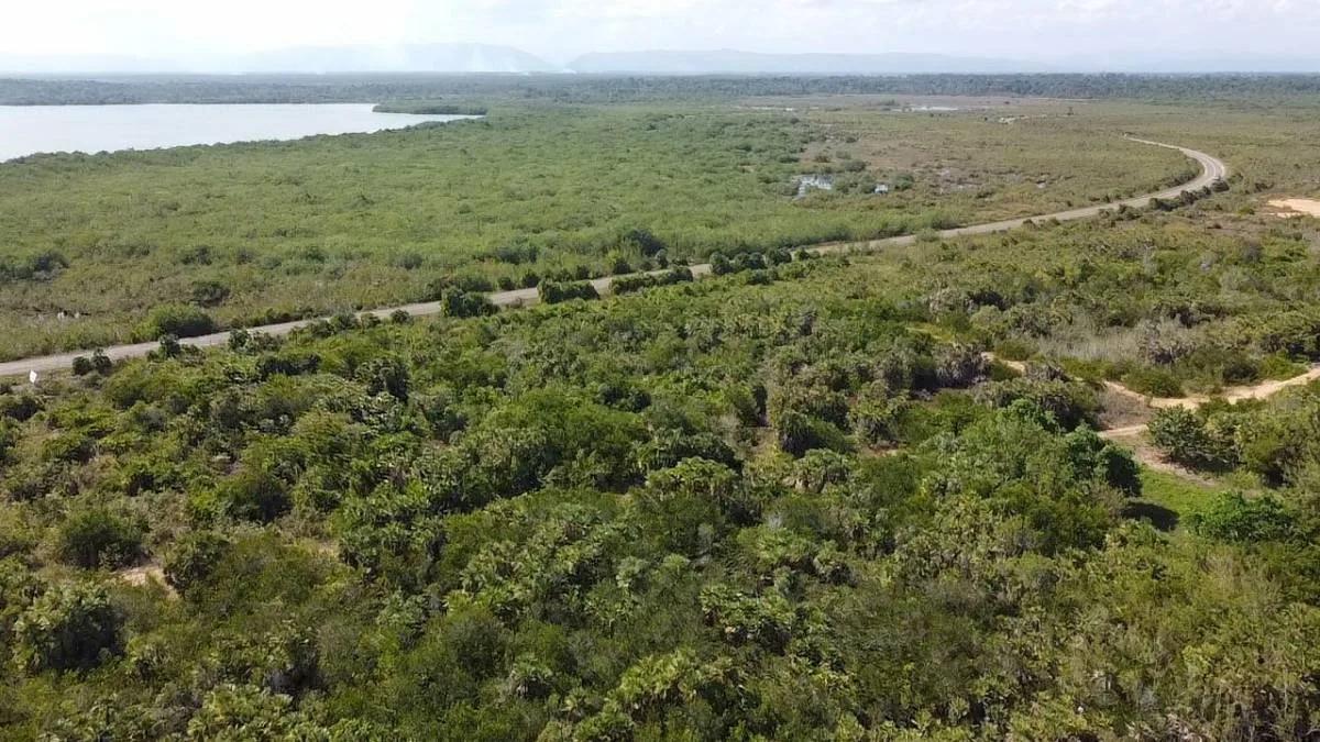 Caribbean Way Residential Lots Available in Placencia  !! - Photo 4