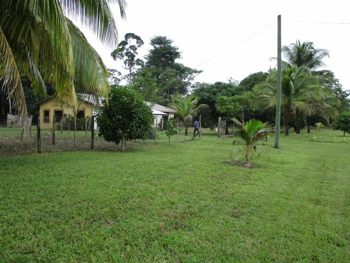 29.60 acres of beautiful elevated and fertile land located about 3 miles from the seacoast  village - Photo 7