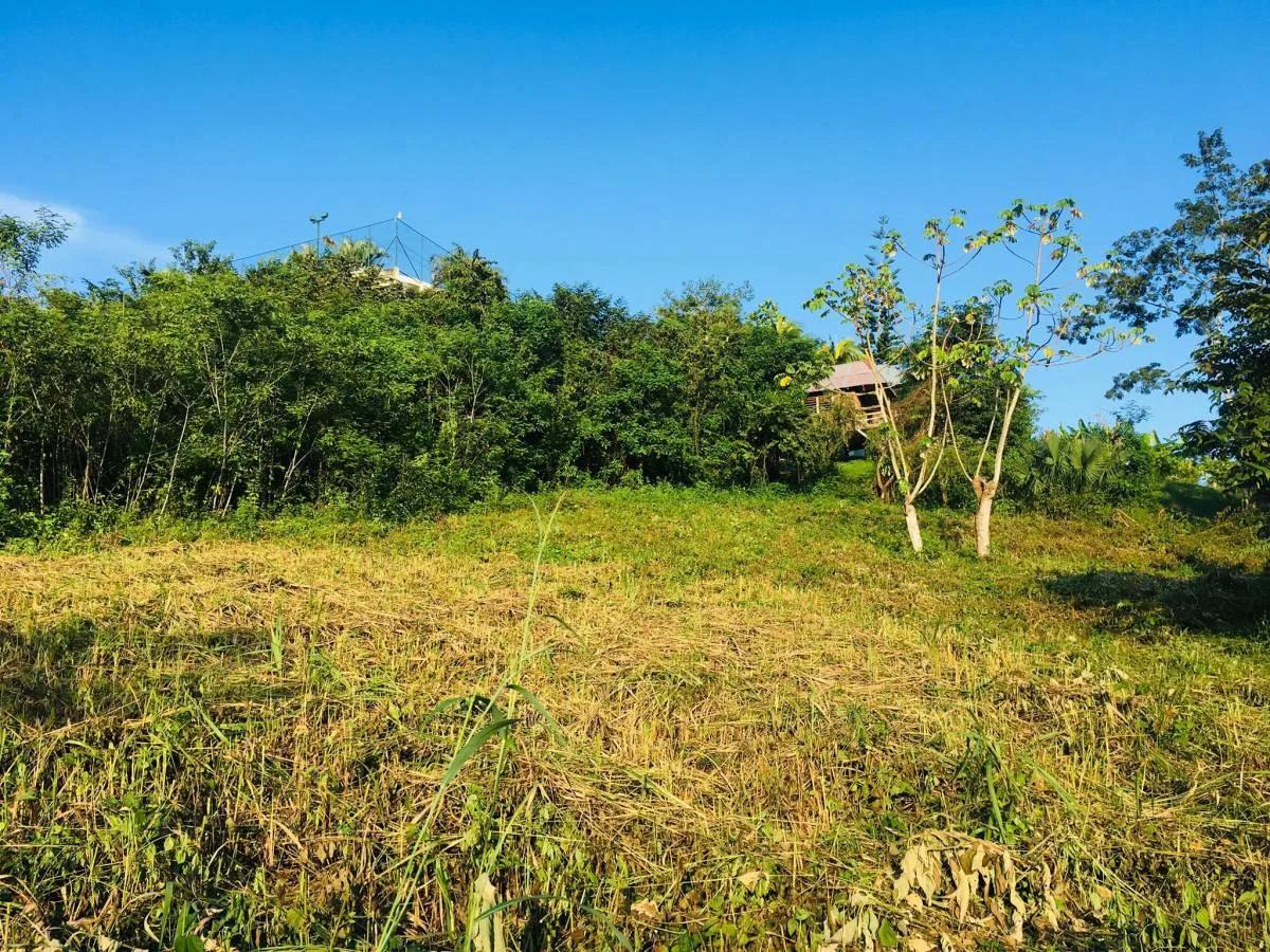 Double Lot For Sale In Benque Viejo Del Carmen - Photo 3