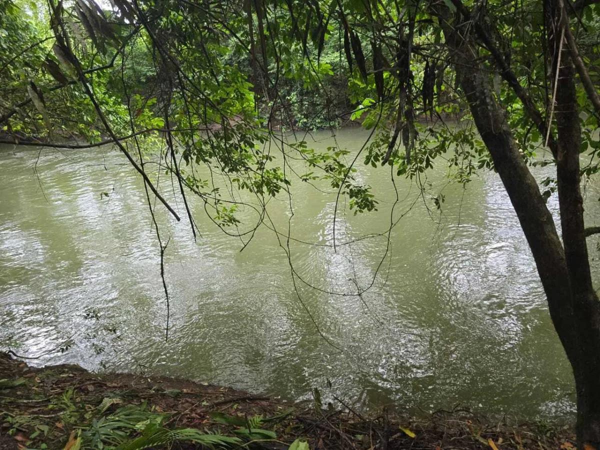 Riverside Tropical Investment – 30 & 12.3 Acres on the Rio Grande, Big Falls - Photo 7