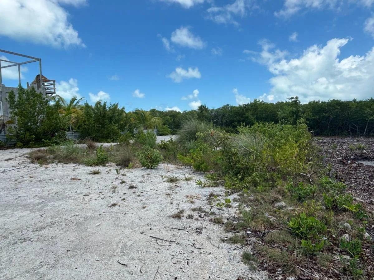 Prime Lot Near The Sea- North Island - Photo 4