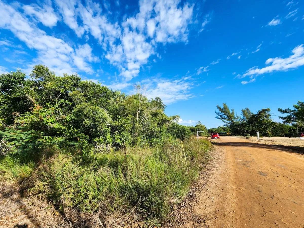 Prime Ocean View Lot - Photo 8