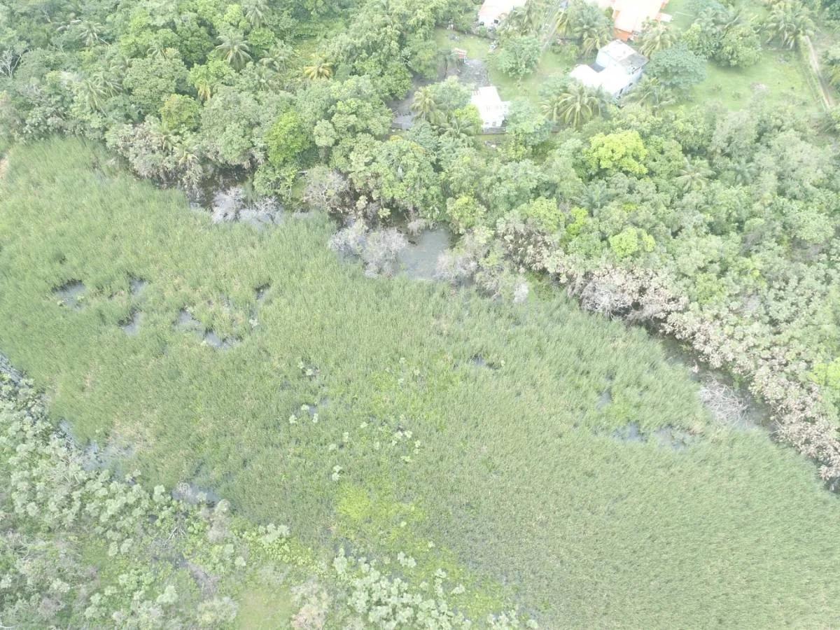 4.65 Acres close to Boom Hattieville Cutoff Road - Photo 4