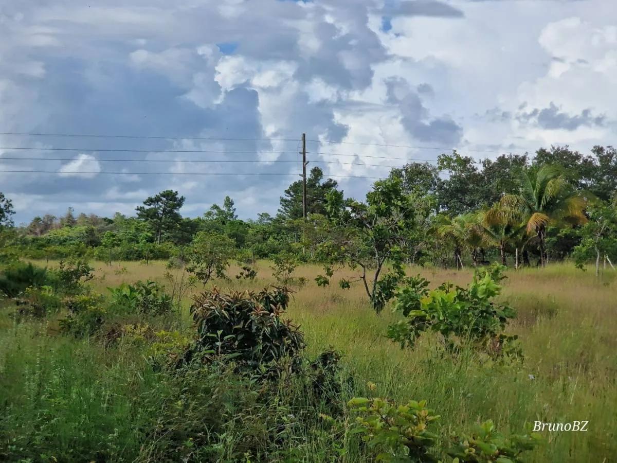 1 acre investment property in Bella Vista (Toledo) For Sale! - Photo 6