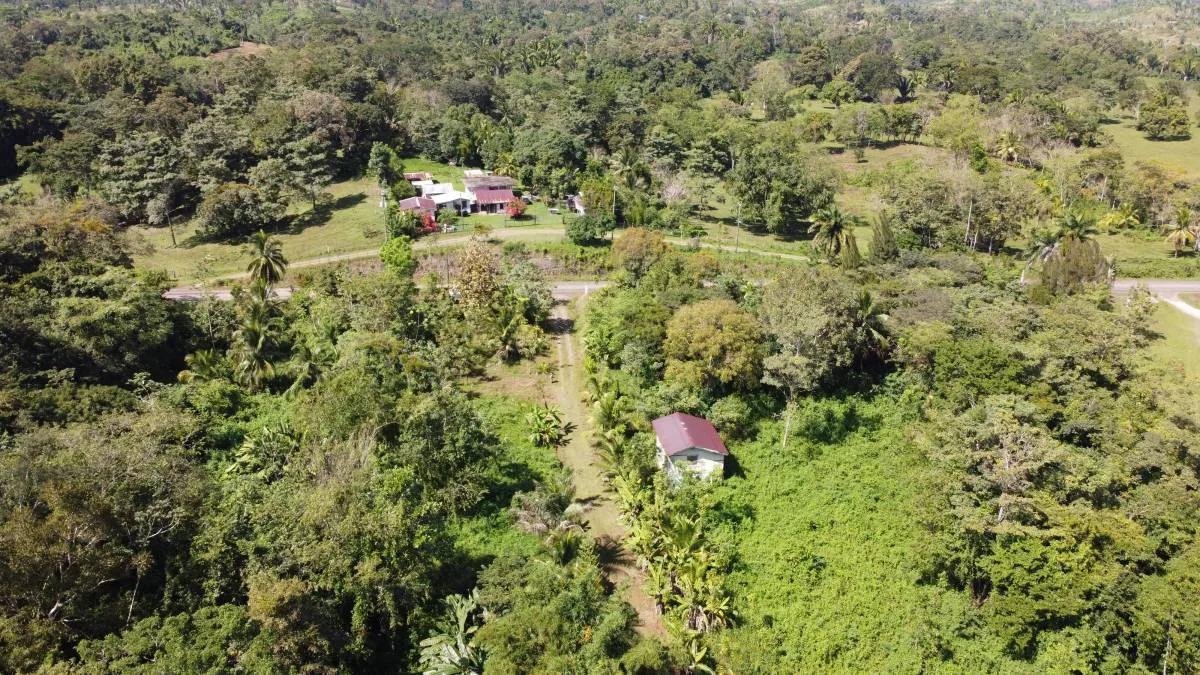 28 acres next to the Maya House of Cacao in Toledo - Photo 2