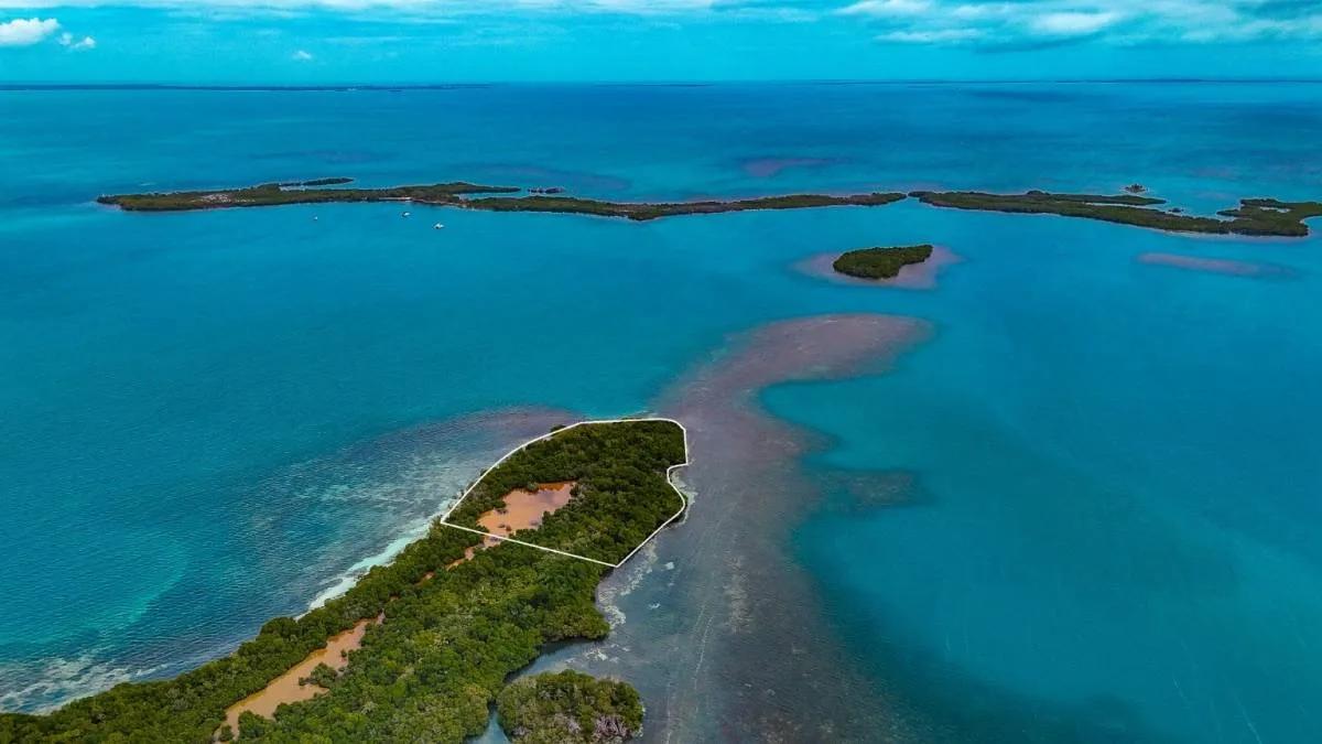 Prime Waterfront Acreage on Grennel’s Caye - Photo 3