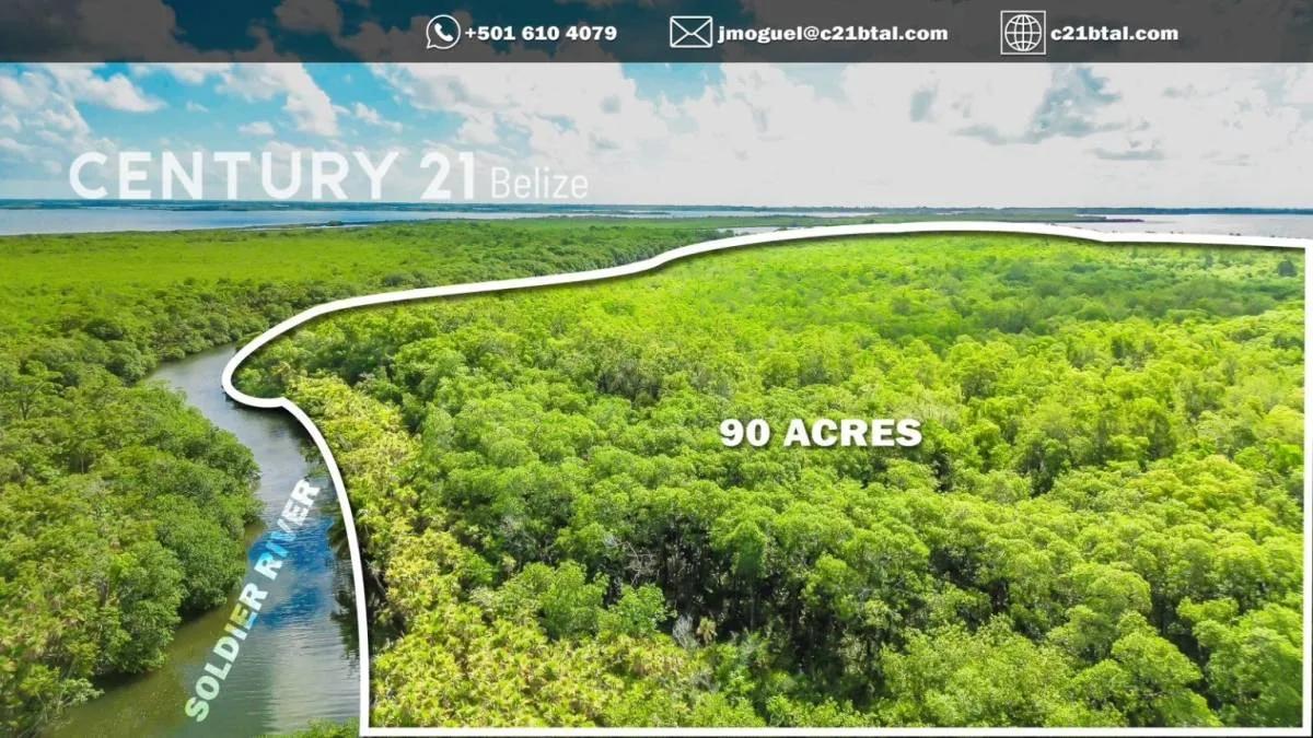 90 ACRES ALONG MANATEE RIVER AND WESTERN LAGOON, BELIZE DISTRICT - Photo 6
