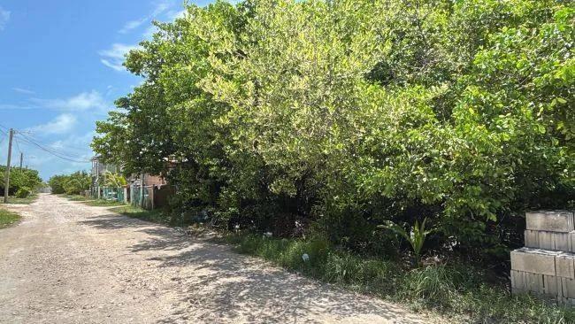 Affordable 5,000 sq ft Lot in the Bahia Neighborhood - Photo 2