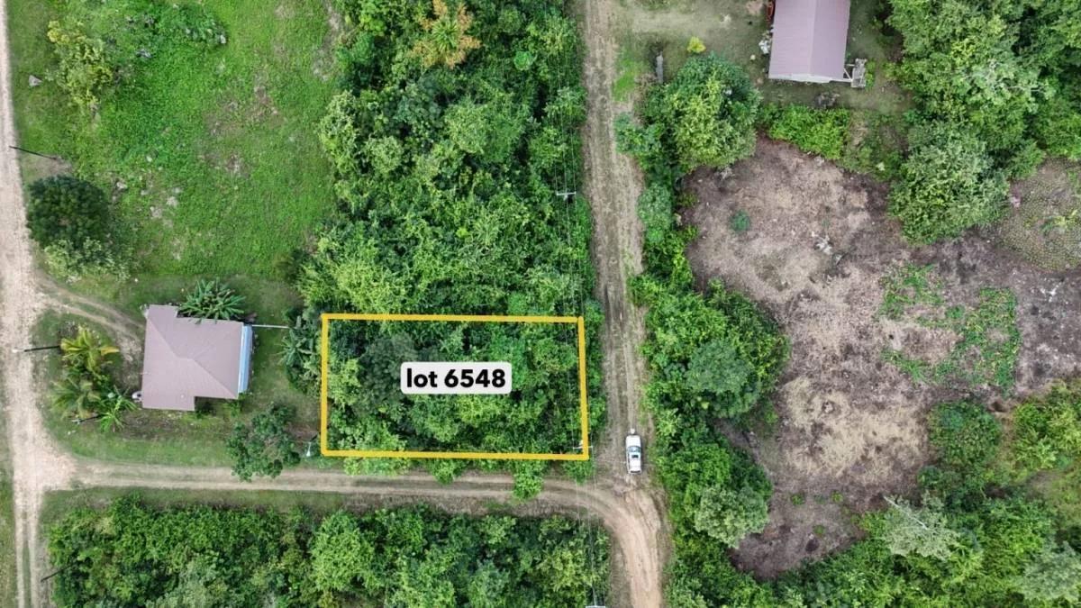 465.242 sq. m. Residential Lot in Belmopan – Mountain View - Photo 4