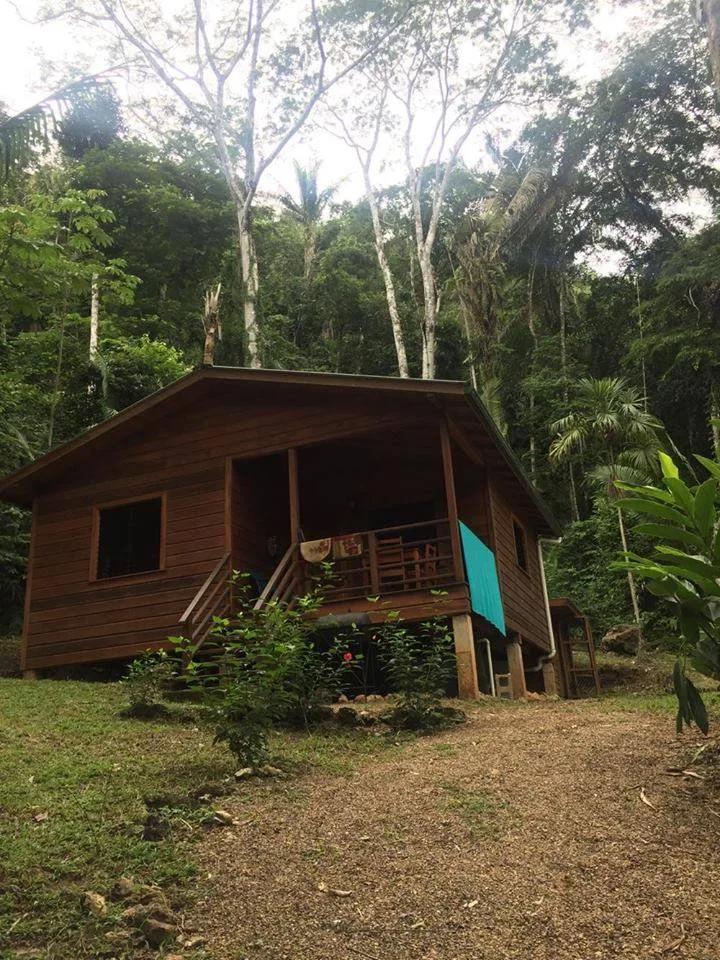Jungle Escape Cabin at Better In Belize Eco Community