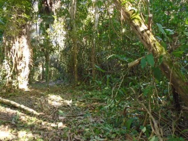 30 plus acres of rugged, elevated and fertile land hugged by two all-weather creeks. - Photo 8