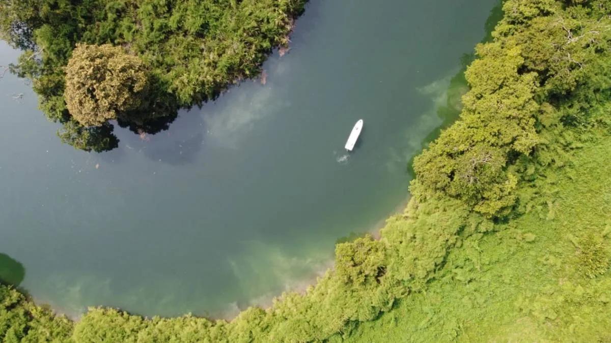 "Riverside Tranquility: 30.119 Acres of Pristine Paradise near San Felipe Village, Toledo" - Photo 6