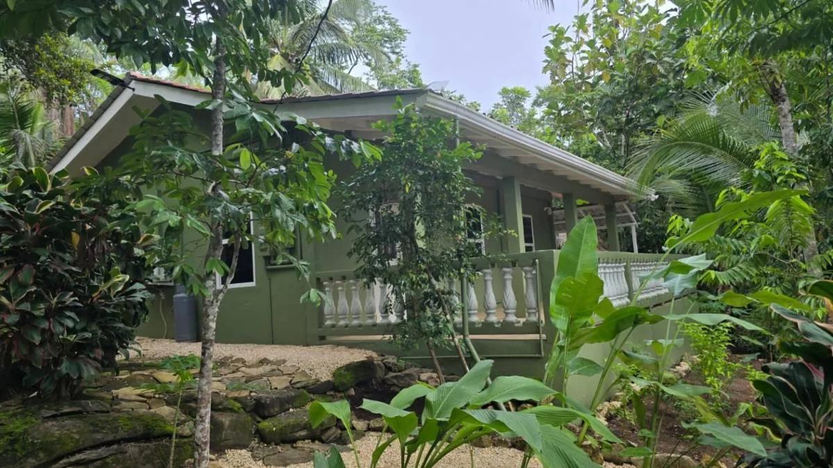 REDUCED! REDUCED! 12.853 Acres of Tropical Retreat Surrounded by Nature - Photo 4