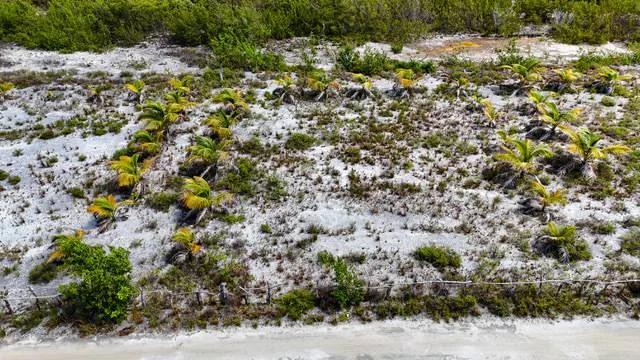 ONE LOT LEFT-Cleared High Lots- -North Island, Caye Caulker - Photo 5