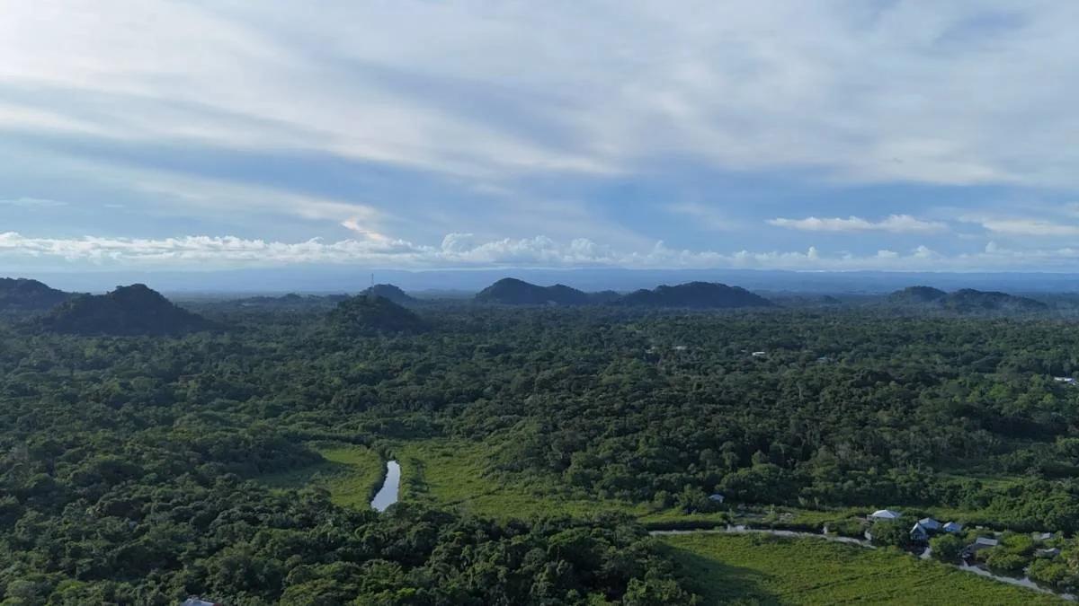 Searching for 1 acre farm near Joe Taylor Creek and Caribbean Sea (Toledo)? - Photo 7