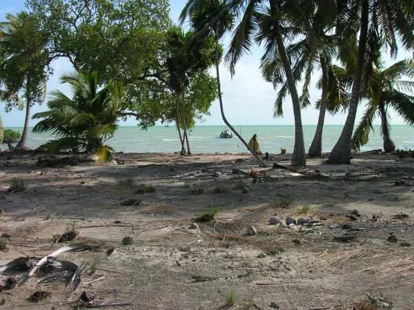 Investment Opportunity - Photo 7