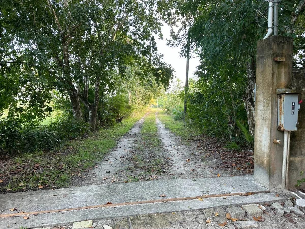 Pack your bags!! 4 Acres with fully furnished home ready to move in!! - Photo 7