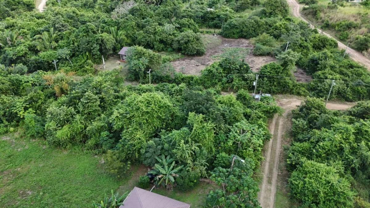 465.242 sq. m. Residential Lot in Belmopan – Mountain View - Photo 3