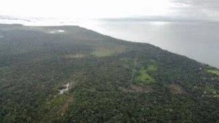 Lush Lots surrounded by Jungle - Photo 8