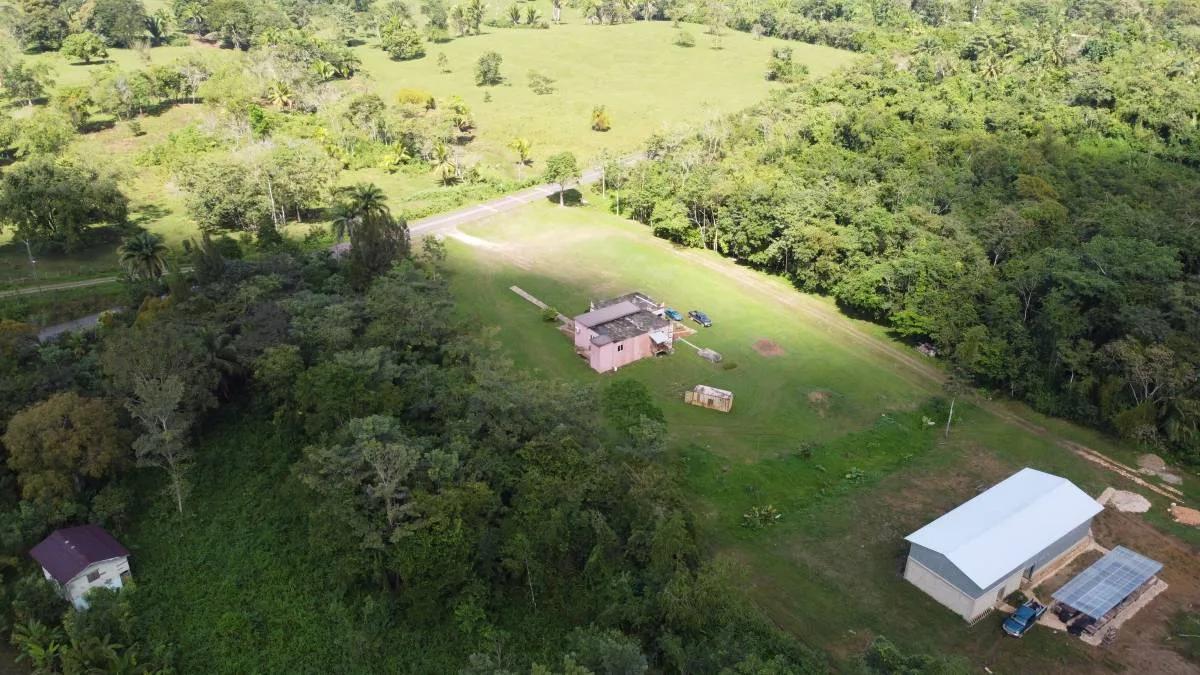 28 acres next to the Maya House of Cacao in Toledo - Photo 3