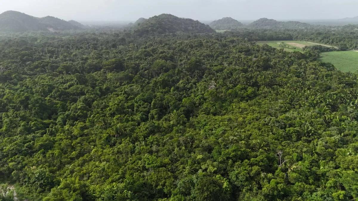 Rare Investment Opportunity Motel and Development Land (251 acres) in Southern Belize - Photo 3