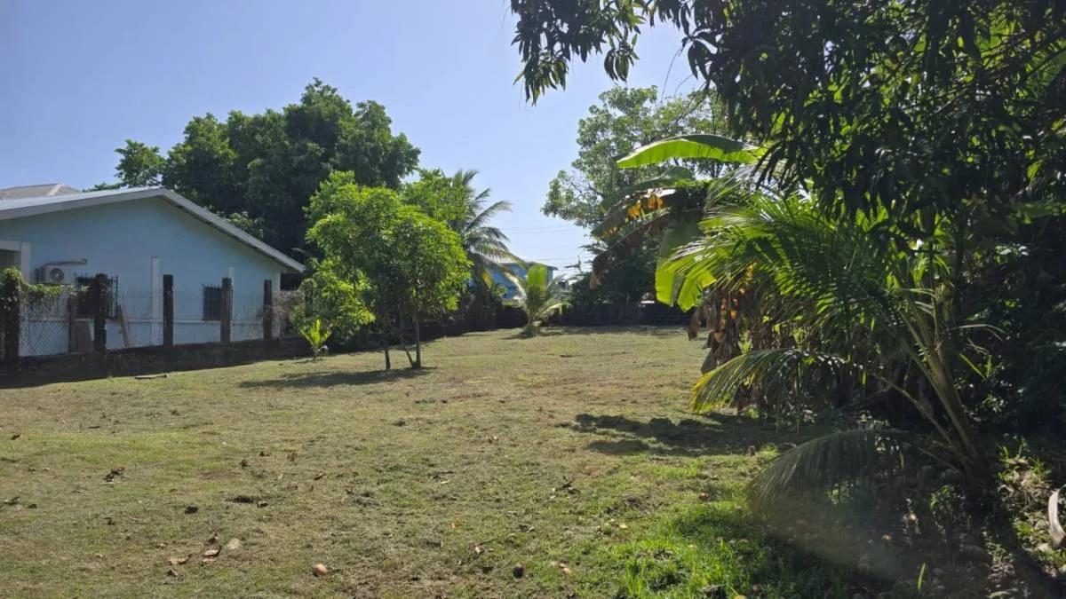 Seaside Residential Lot in Punta Gorda - Photo 4