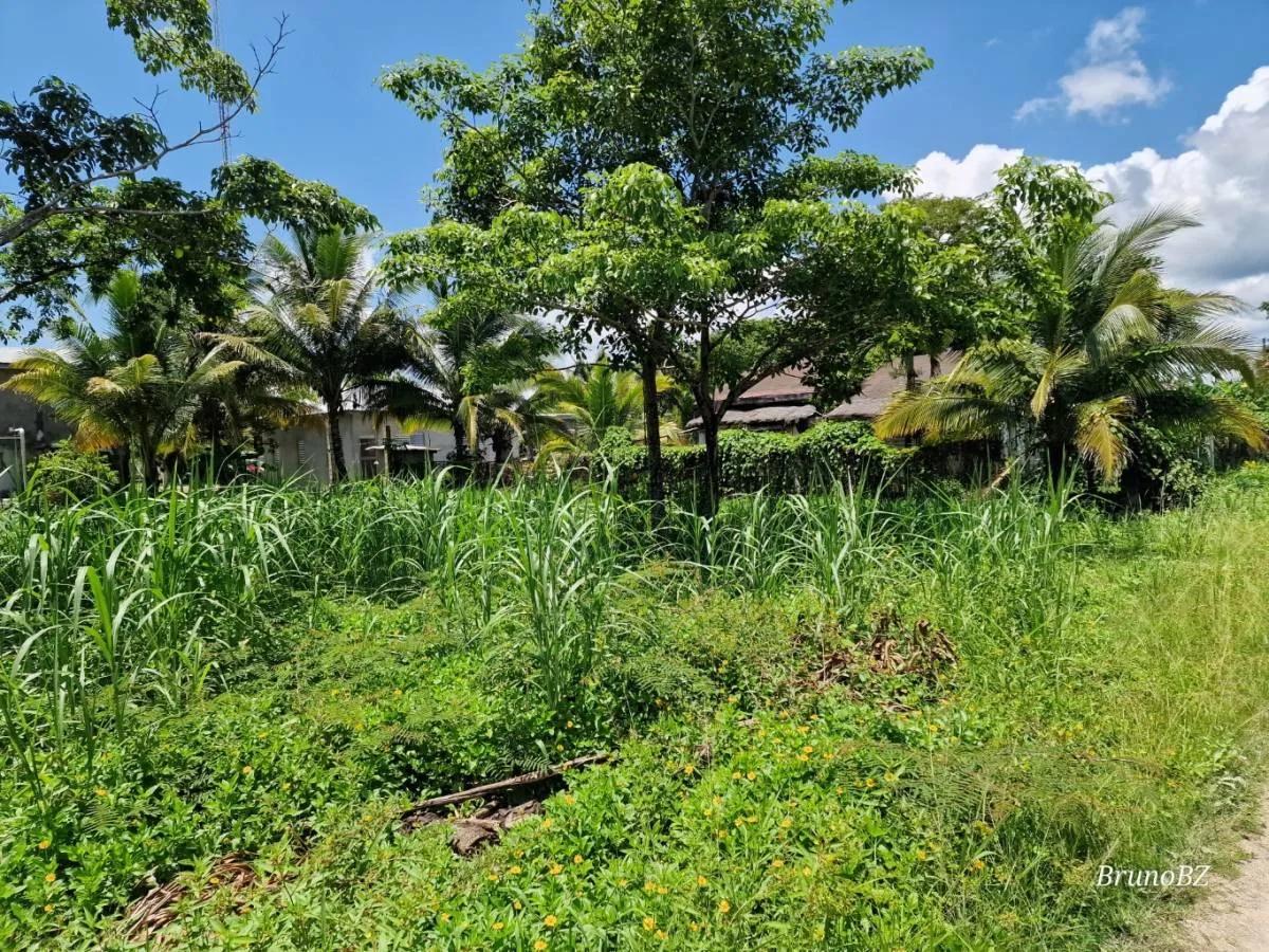 Affordable House Lot for Sale in Punta Gorda Town - Photo 4