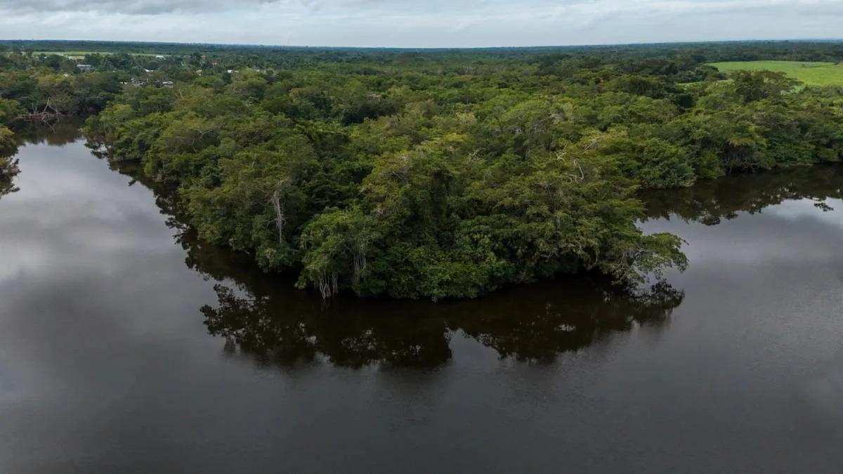 18.54 Acres of Riverfront Land in San Estevan, Belize - Photo 4