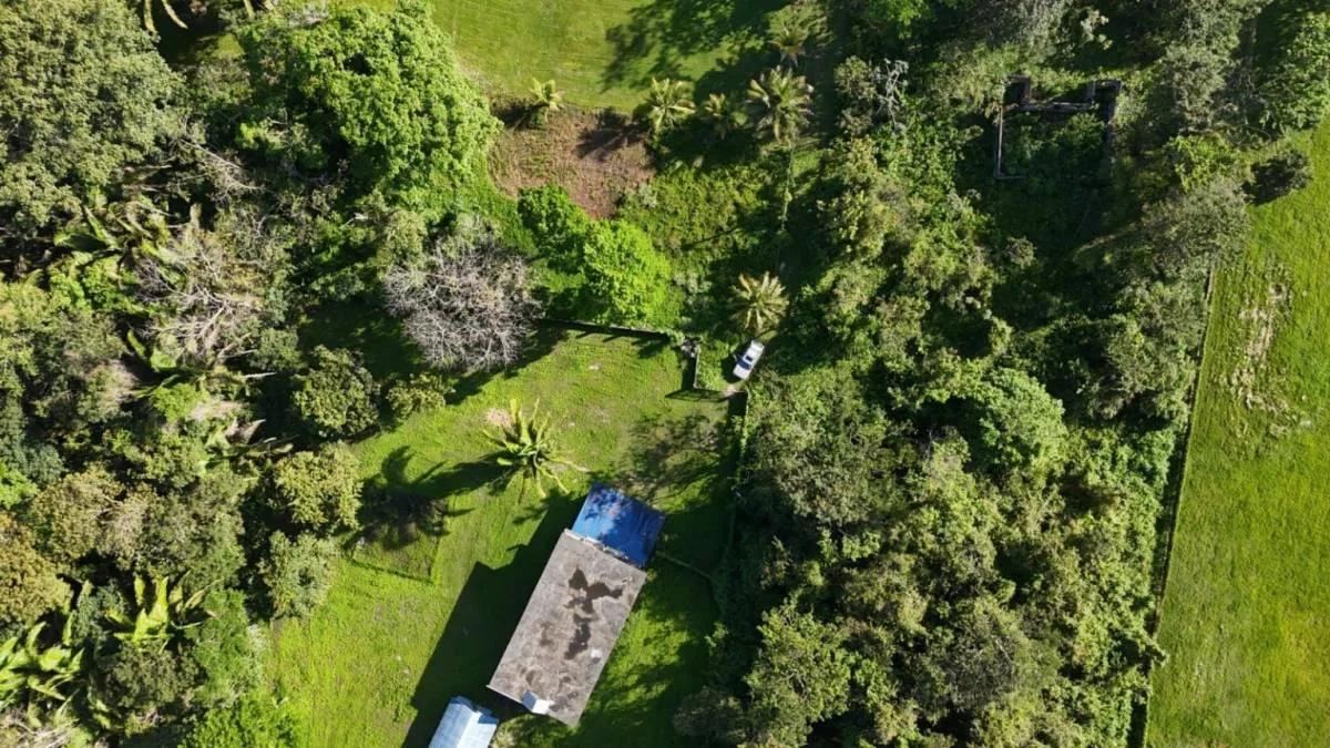 Tropical 3.93-Acre Property with Home Near Punta Gorda Town