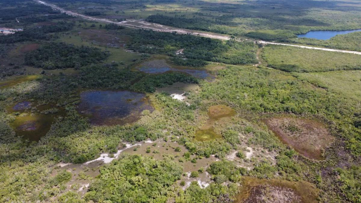 100 acres on John Smith Road - Photo 3