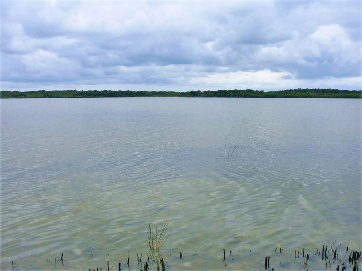Progresso Heights Lagoon Front Lot - Photo 2