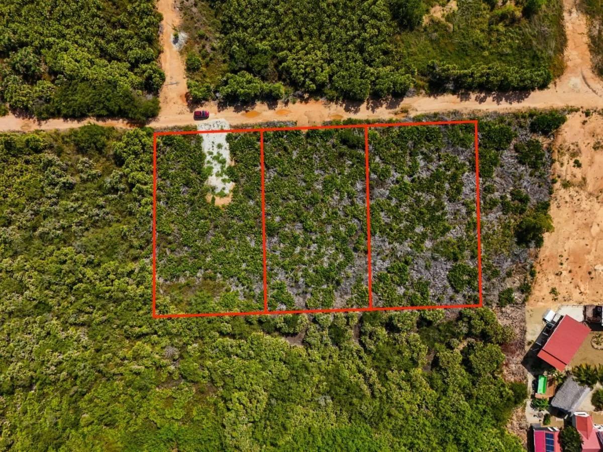 Triple Lot Opportunity (Over 1+ Acre) - Photo 5