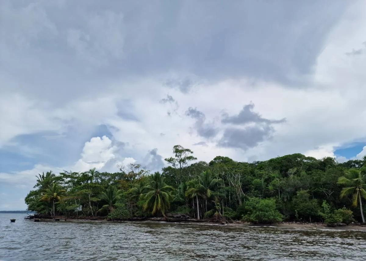 Searching for prime waterfront land for sale in Toledo ideal for development in a tranquil location?