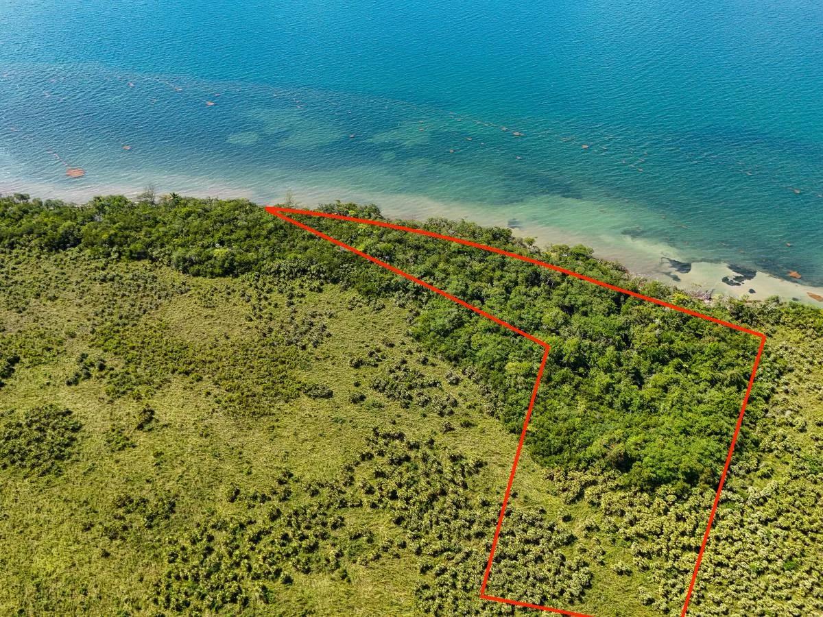 5.11 Acres of Beachfront Paradise in Commerce Bight - Photo 4