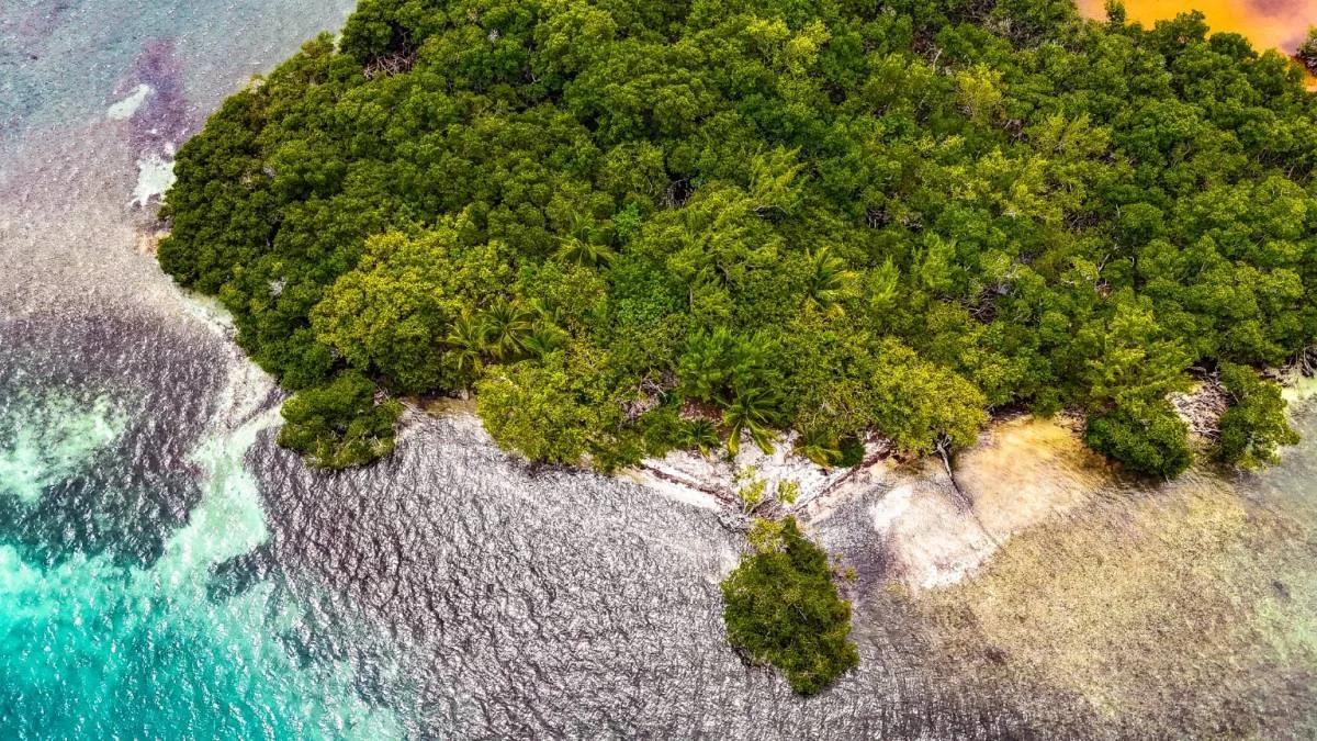 Prime Waterfront Acreage on Grennel’s Caye - Photo 5