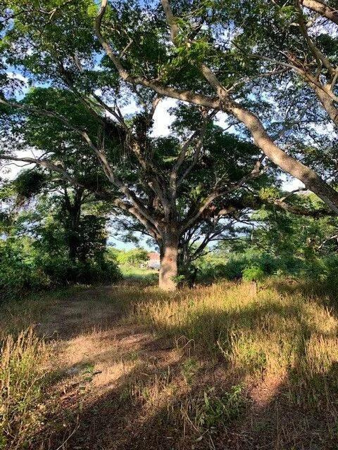 Agricultural  Investment - Photo 8
