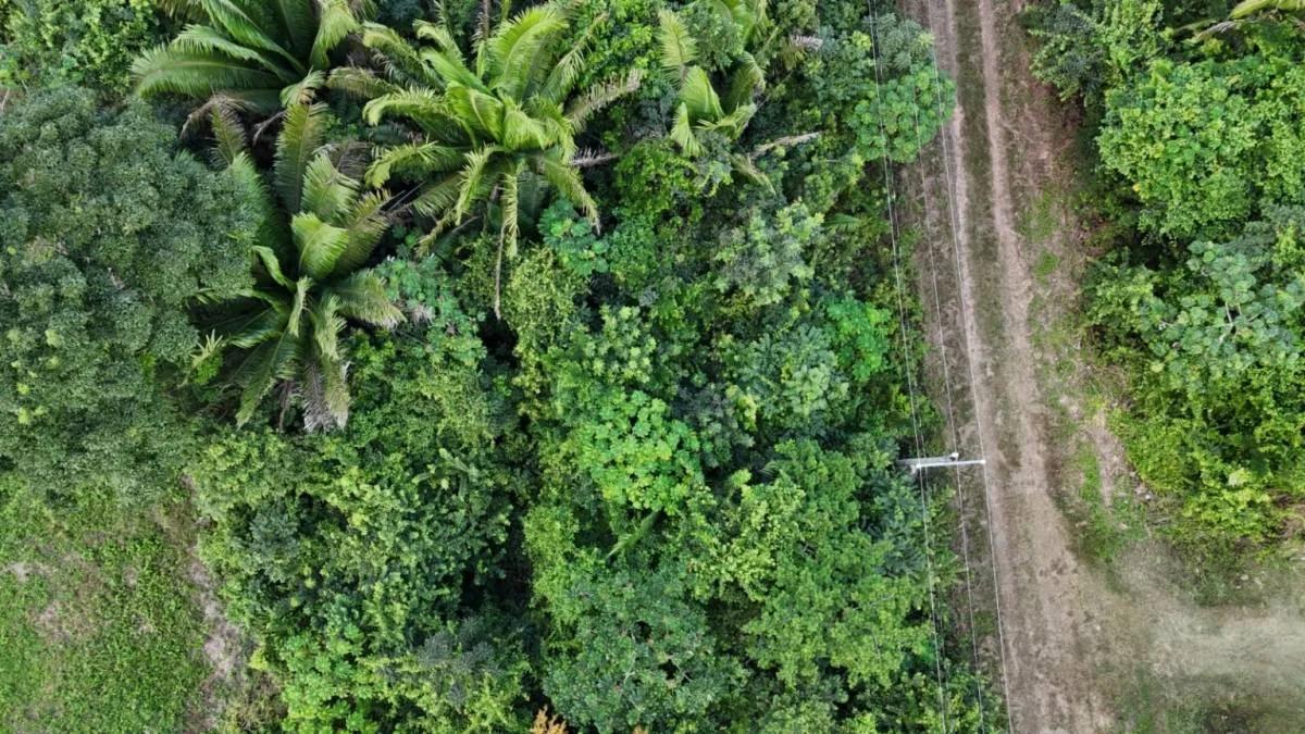 469.837Sq.m. of Prime Residential Lot in Belmopan - Photo 7