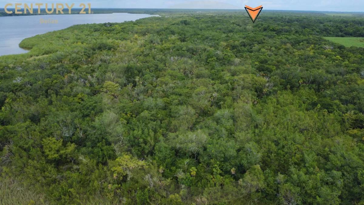 57.48 Acres with Lagoon Access – Waterfront Investment Opportunity - Photo 4