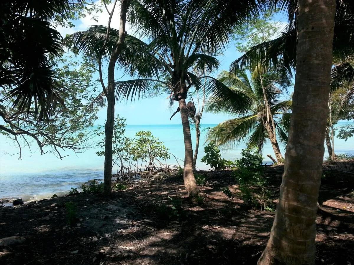 4 SeaFront Lots & 4 Adjacent Back Lots (8 Lots ) Package For Sale in Sarteneja. - Photo 7