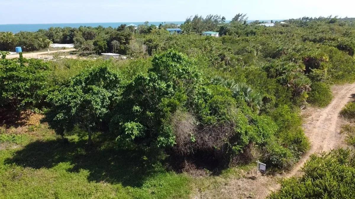 Caribbean Way Residential Lots Available in Placencia !!