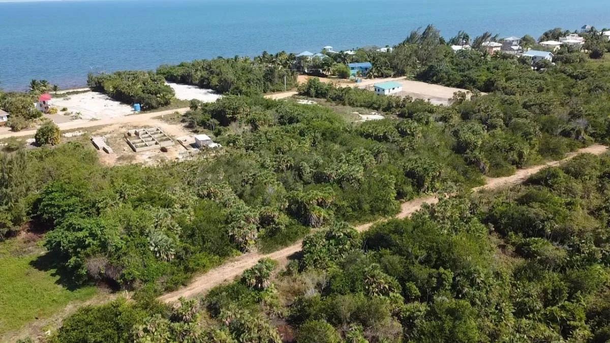 Caribbean Way Residential Lots Available in Placencia !!